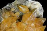Plate Of Golden, Twinned Calcite Crystals - Morocco #115207-3